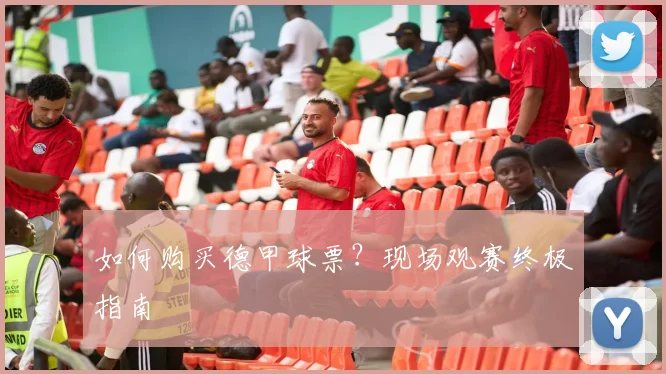 如何购买德甲球票？现场观赛终极指南